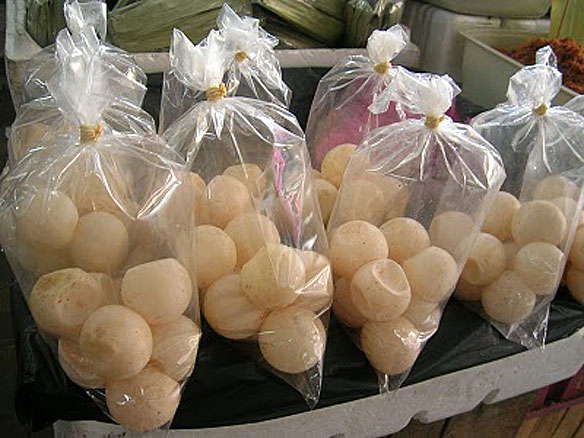 external image turtle-eggs.jpg