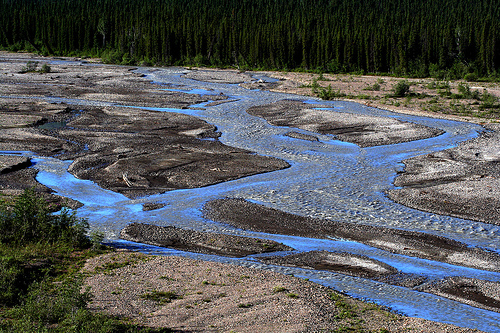 external image 214496166_1c8275c17a.jpg
