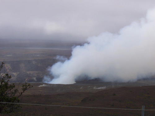 external image 3851138158_a4deb7fdb5.jpg