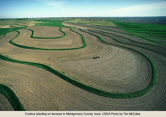 external image crops1101.jpg