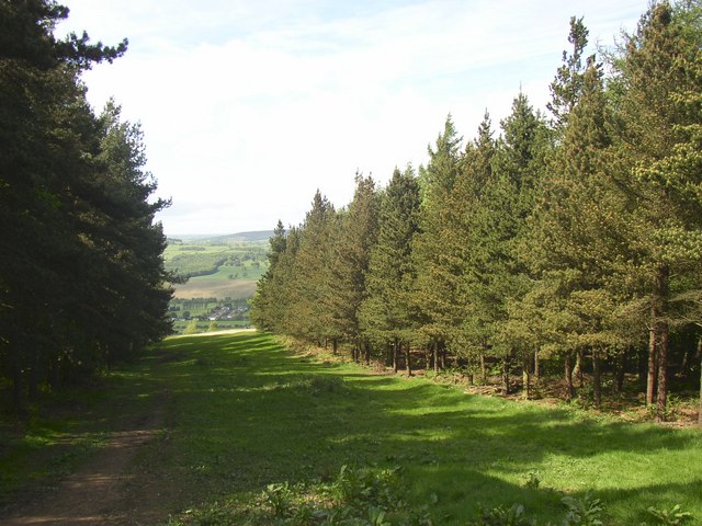 external image 177055_f8d65fe7.jpg