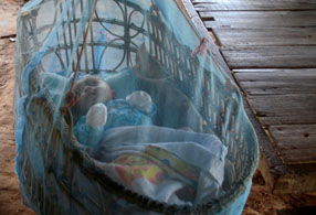external image World_Malaria_Day_2009_Slide_05.jpg