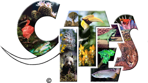external image logo-cites.png