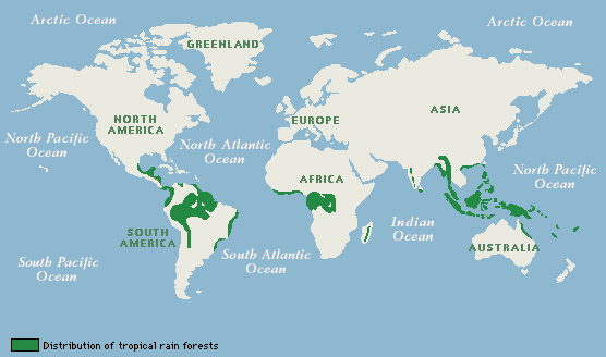 external image rainforest_map.gif